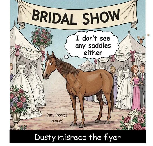 Screenshot_20251003-143700