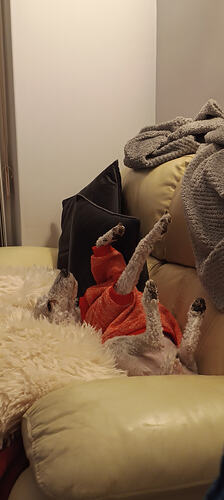 IMG_20260406_215113112