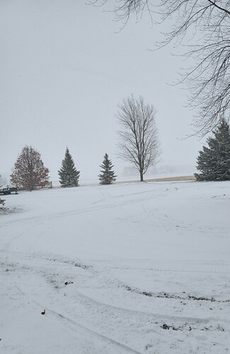 IMG_20251129_123234630_HDR