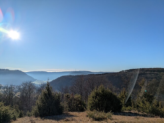 PXL_20251215_094523958