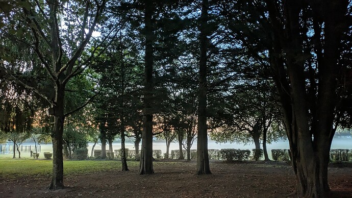 PXL_20250909_050731121~2