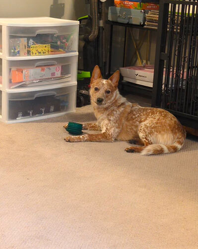 Screenshot_20260130-141939