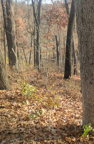 Screenshot_20251122-135137