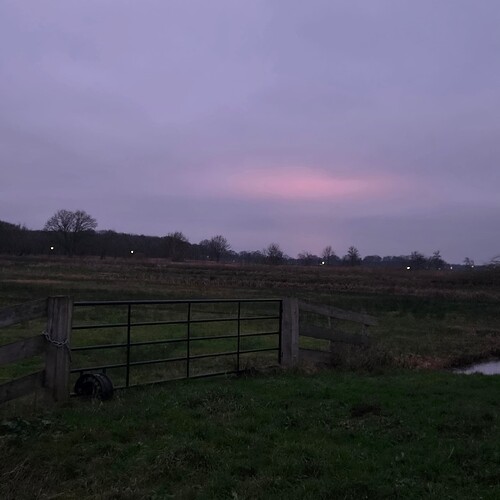 20251215_081238