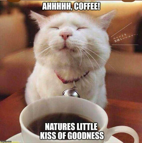 Screenshot_20260207_051644_Pinterest