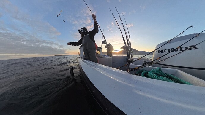 VID_20250516_061605_00_003_016_2025-05-18_11-44-51_screenshot