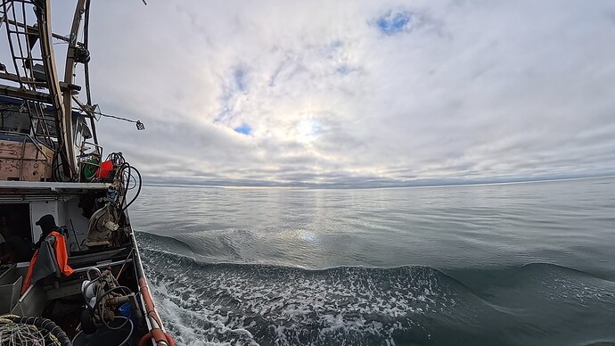 9784b6d842803c61879814b1460708f8_387954.23333333334_1768782774344