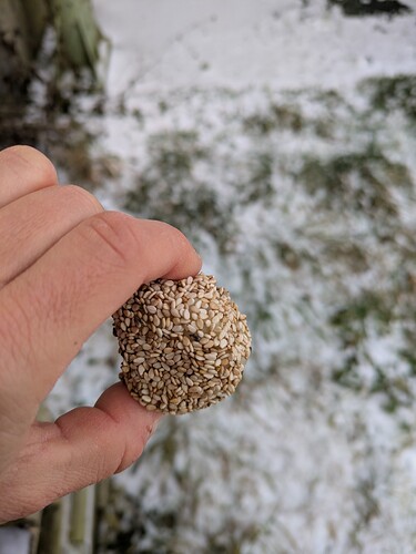 PXL_20251225_095459877