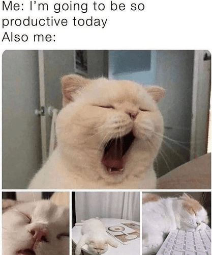 going-be-so-productive-today-also