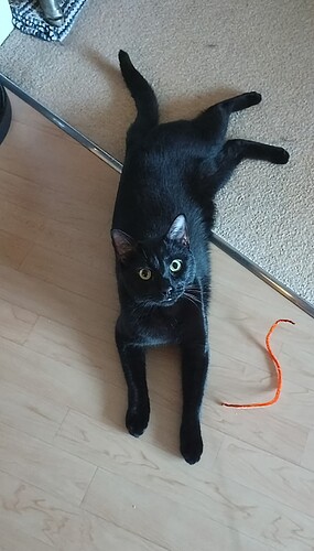 IMG_20250221_075354_856~2