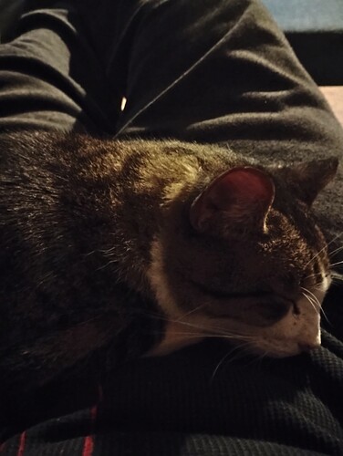 IMG_20251203_171549793