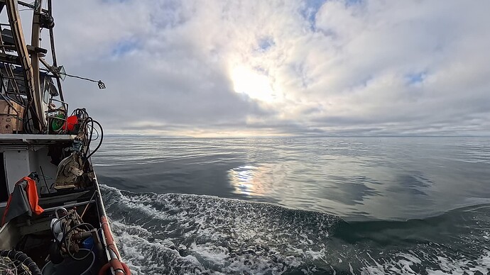 2af56487be5fb464c09039f128714e5d_2031295.9333333333_1768783076343