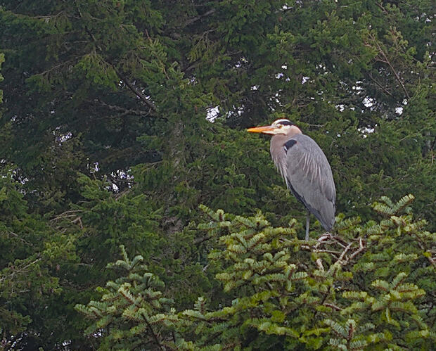 DJI_20260307164509_0142_D