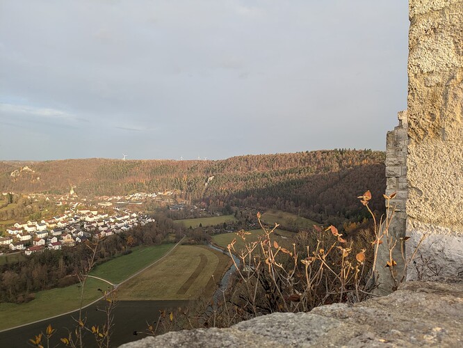 PXL_20251115_073106348