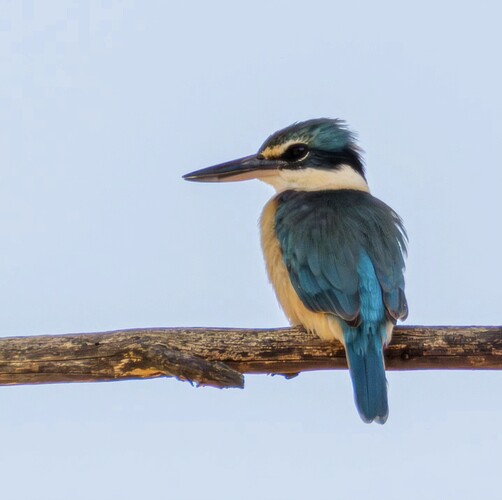 Screenshot_20251015_175824_Instagram