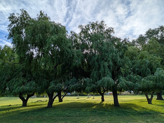 PXL_20250528_052524359