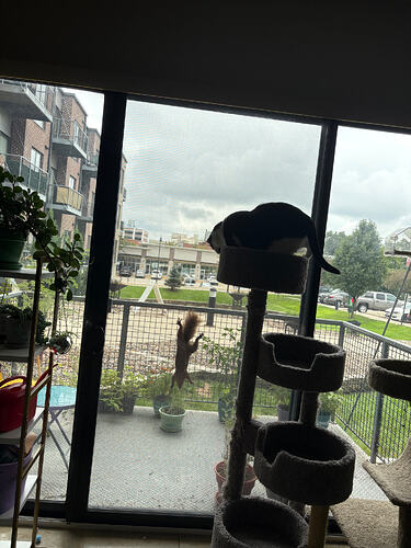 IMG_3925