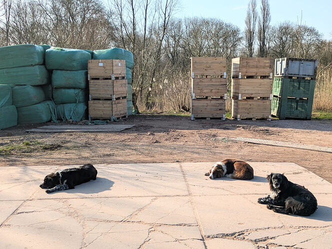 PXL_20260303_140810178