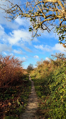 PXL_20251125_115425487