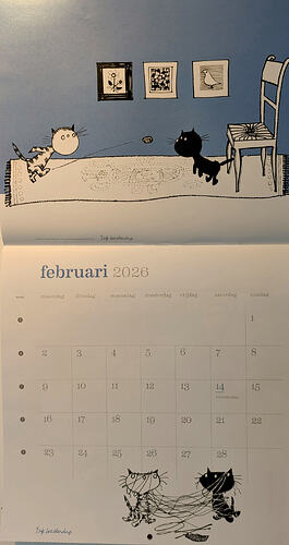 PXL_20260203_140829807~2