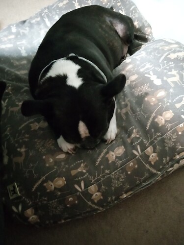 IMG_20260131_220658330