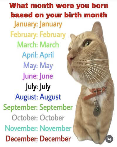 Screenshot_20251203_205434_Instagram