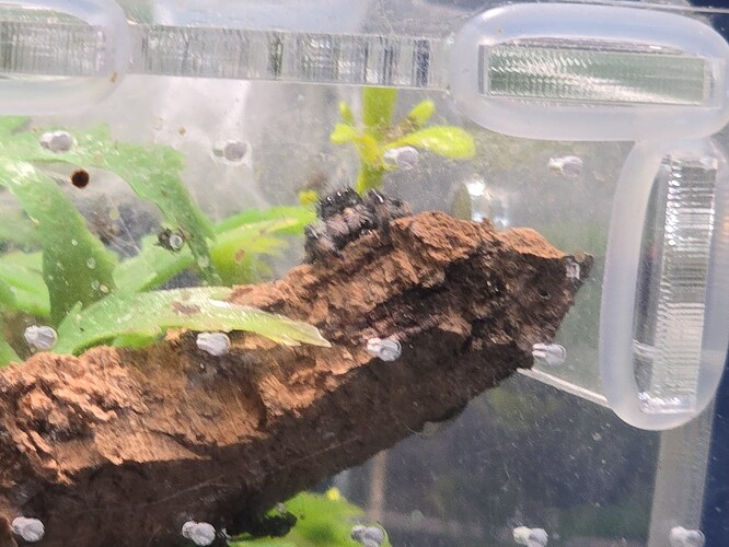 CameraZOOM-20250924103233383