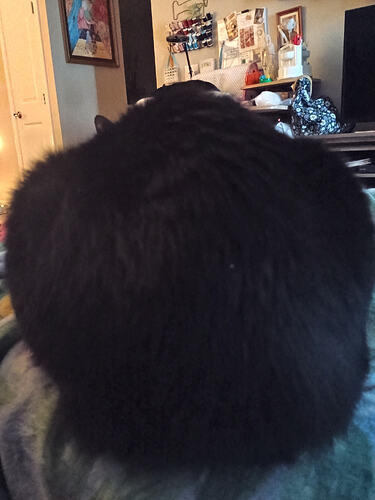 IMG_20260305_090620508