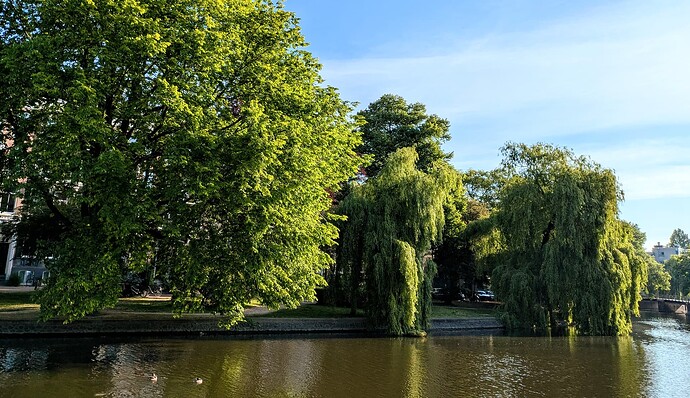 PXL_20250521_060952112