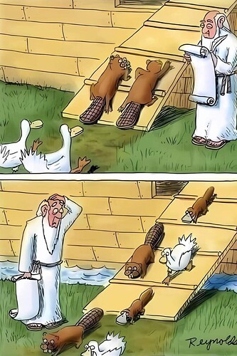 FB_IMG_1768267542315