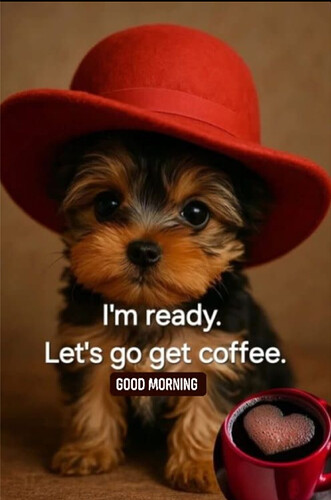 Screenshot_20251106-070146