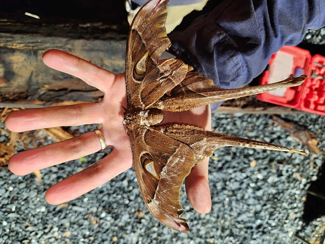 received_1144004477268057