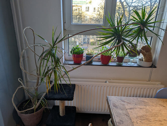 PXL_20260419_180110288