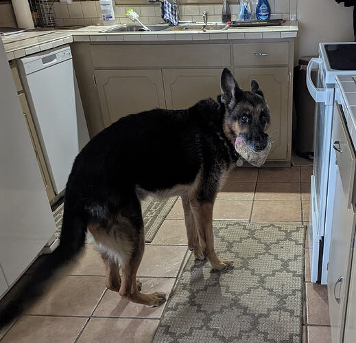 PXL_20260302_135208667