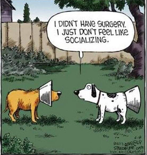 Screenshot_20250807-000904