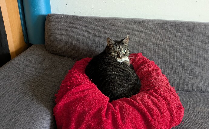 PXL_20250217_093606870