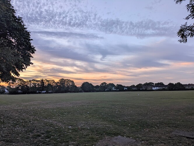 PXL_20250826_051026659