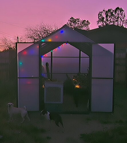 Screenshot_20260226_100511_Instagram