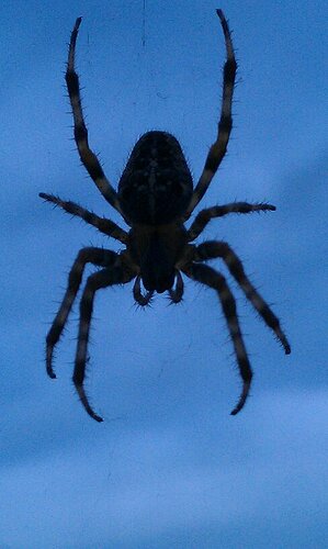 499151621_9739706796079019_4518638219144667134_n