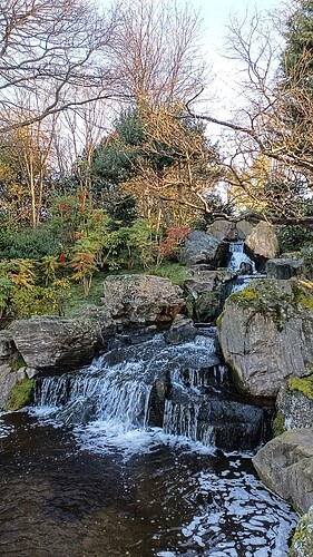 IMG_20250202_093543_454~2