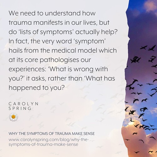 556082919_1239716628194832_5595137509994820405_n