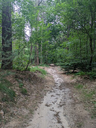 PXL_20250710_060510361