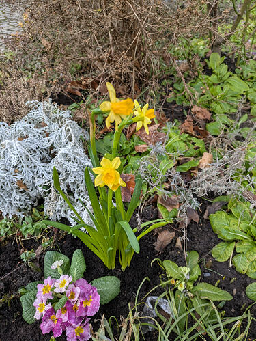 PXL_20260215_123603226