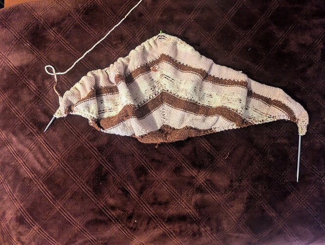 PXL_20250813_125112944