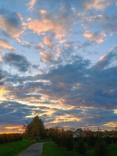 IMG_20251023_182858112_HDR_AE