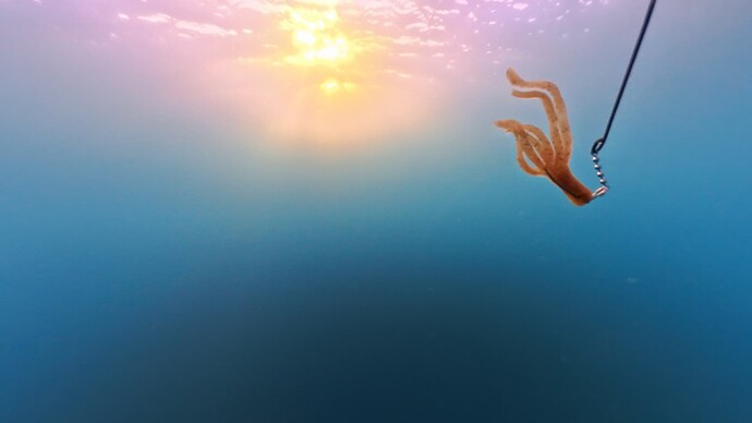 VID_20251007_072111_00_001_002_2025-10-12_10-03-01_screenshot