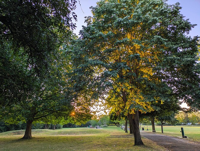 PXL_20250708_043010394~2