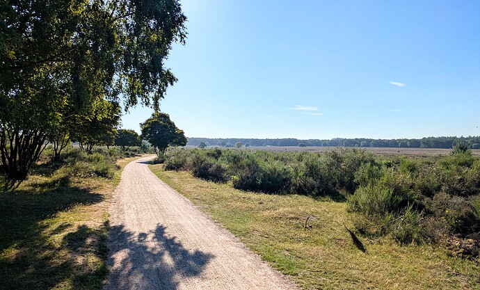 PXL_20250630_064124304