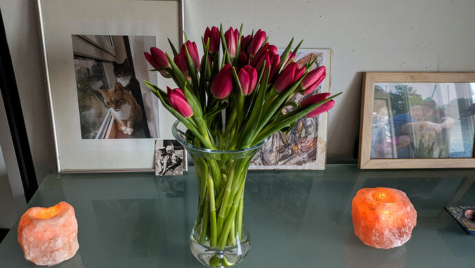 PXL_20260204_154813014