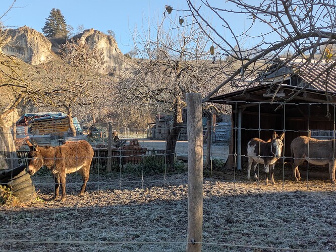 PXL_20251122_082219289